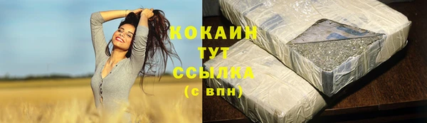 твердый Иннополис