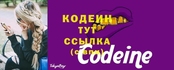 СК Зеленокумск