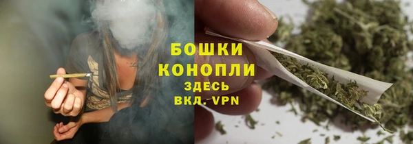 СК Зерноград