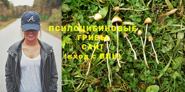СК Зеленокумск