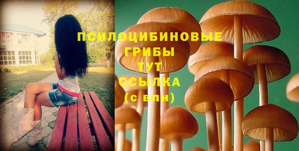 гидропоника Зеленодольск