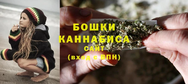 твердый Иннополис