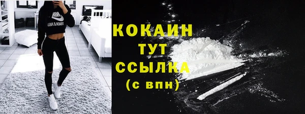 твердый Иннополис