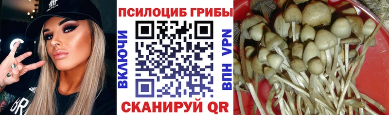 Псилоцибиновые грибы мухоморы  даркнет какой сайт  Магнитогорск 